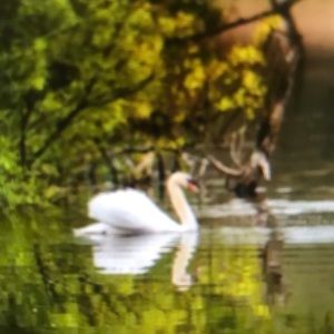 Meet your Posher, Ty